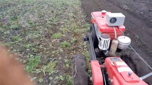 Грузим мотоблок на прицеп, посадка картошки2019