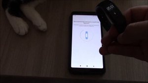 Как перепрошить китайский Mi Band 4 на русскую версию