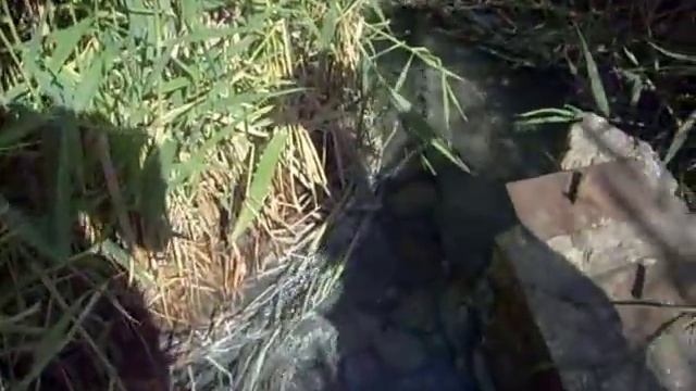 Уникальный сероводородный источник Саратовская обл. смотреть онлайн