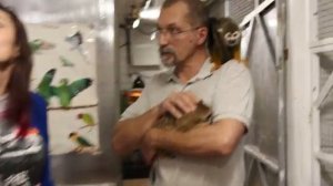 Марина и Евгений Рыбалтовские о содержании экзотических животных