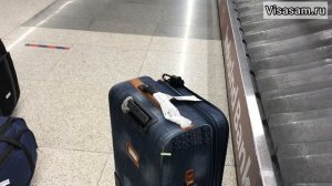 Как долететь в Гоа с транзитной пересадкой в Дели в 2023 году в Индии: авиакомпания Air India