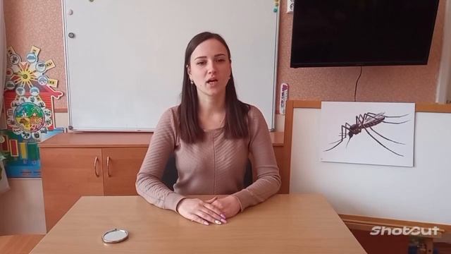 Заняття зі звукової культури мовлення молодший вік: "Звук [З]" (11.04.23)