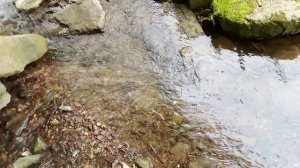 Весенний ручей