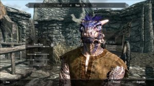 Skyrim PC - Ultra Max Settings Test 1920x1080 (HD 6950)