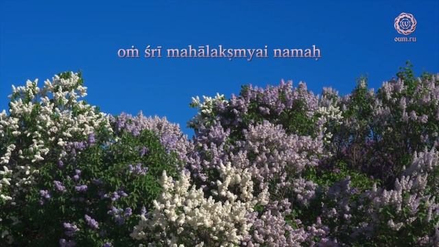 Lakshmi Devi - Daria Chudina
