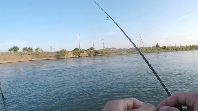 Селедка на каждом забросе, мормышинг на Fish Season Fario NT-Morm 602XUL-S 2021 смотреть онлайн