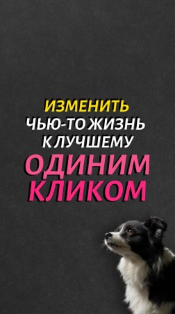 Эта история о том, как собака обрела своего хозяина и начала совершенно новую, удивительную жизнь.