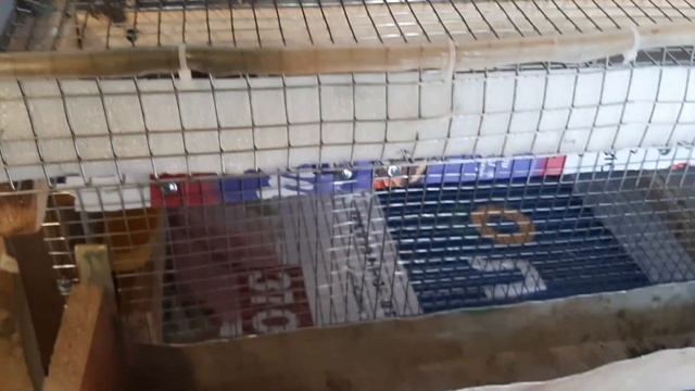 Удивительная новинка для перепелов: Клетки своими руками. смотреть онлайн