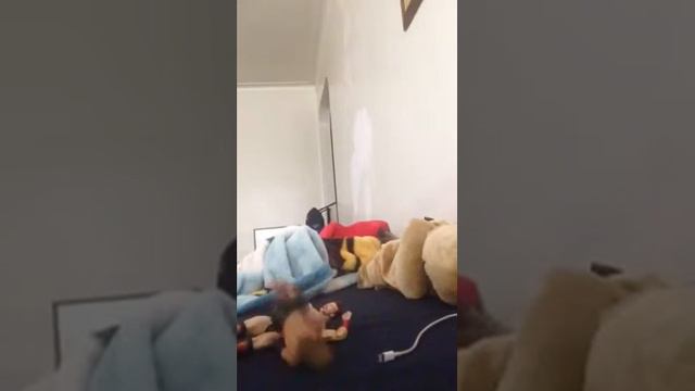 J toy show crazyo on week away from the extreme night смотреть онлайн