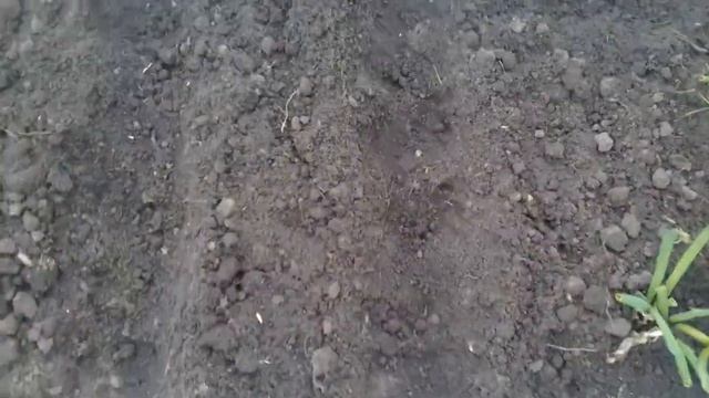 Сею батун АПРЕЛЬСКИЙ. 24.04.2018г. смотреть онлайн