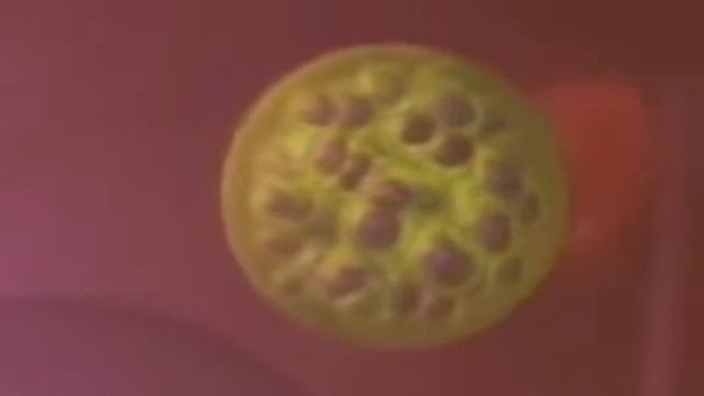 Зоология Малярия смотреть онлайн