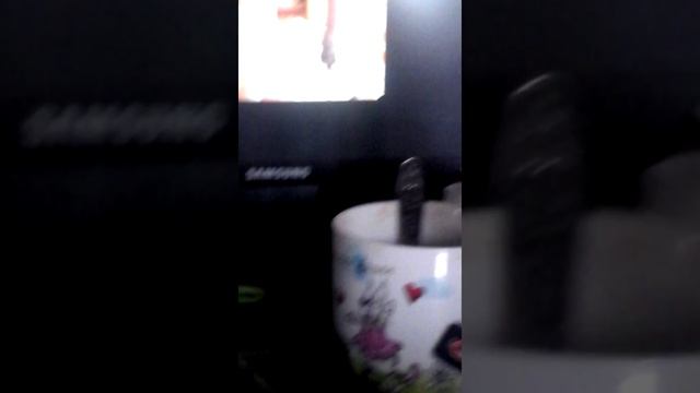 Коты сфинксы ( фото ) смотреть онлайн