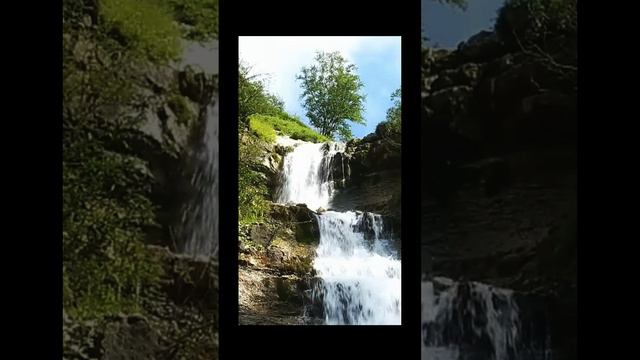 Расслабляющие звуки природы и водопада. Пение Птиц В Лесу. Белый шум.