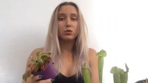 Как ухаживать за ВЕНЕРИНОЙ МУХОЛОВКОЙ (ДИОНЕЕЙ)