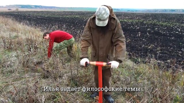 Новая ДУБРАВА 1500 СЕЯНЦЕВ в лесостепях Пензенской области #подаридерево