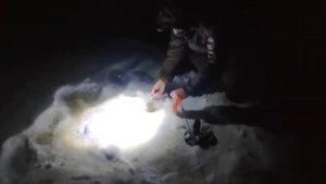 Зимняя рыбалка на реке Сить