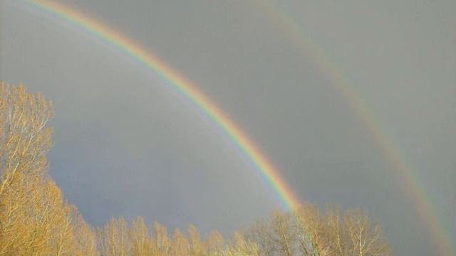 Veronique Sanson Amoureuse 1972 remove vocals смотреть онлайн