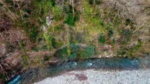 Как цветокоррекция Lut меняет всё видео, снятое на DJI avata