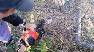Как натягивать цепь бензопилы Как пилить бензопилой Pull chain on the chainsaws