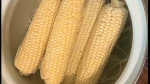 КАК СВАРИТЬ ВКУСНУЮ КУКУРУЗУ НА МОЛОКЕ. ГОТОВИМ ДОМА.HOW TO WILL TASTY DELICIOUS CORN MILK.