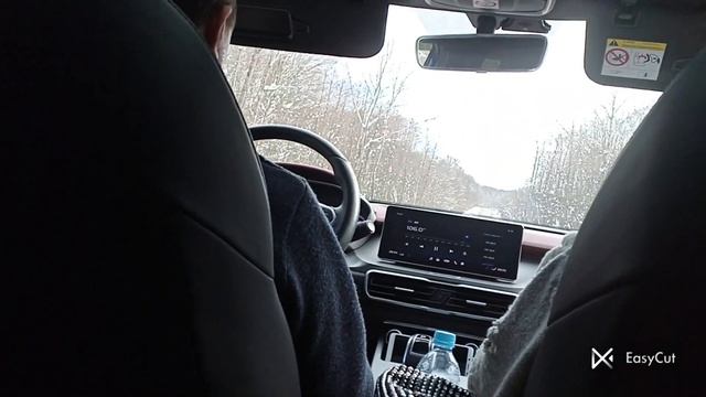 поездка в Лагонаки смотреть онлайн