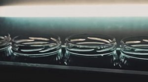 Как производится кабачковая икра