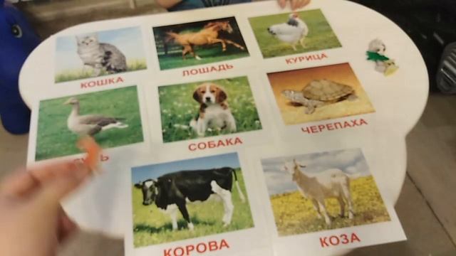 Развивающие игры / Животные