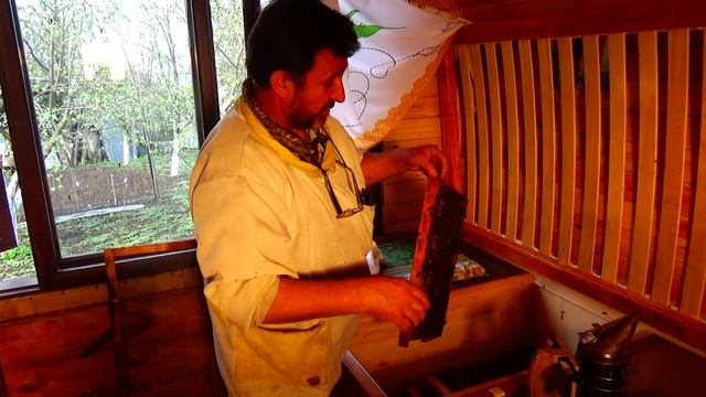 Расширение в Апидомике семья трутовка смотреть онлайн