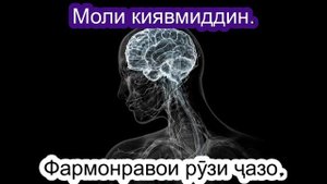 Ин сура хаммаи бемориро аз бадан дур мегардонад ба ғайри марг.