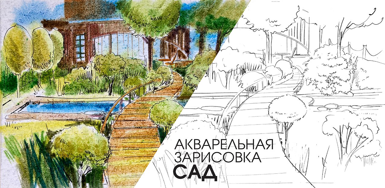 Сад