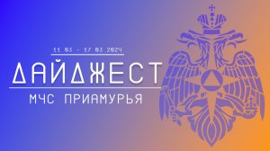 Дайджест ГУ МЧС России по Амурской области 11.03-17.03.2024