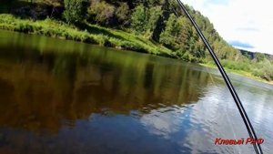 Микроколебалки на мелководье.