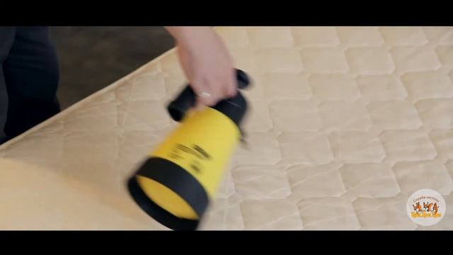 Как происходит выездная химчистка на дому