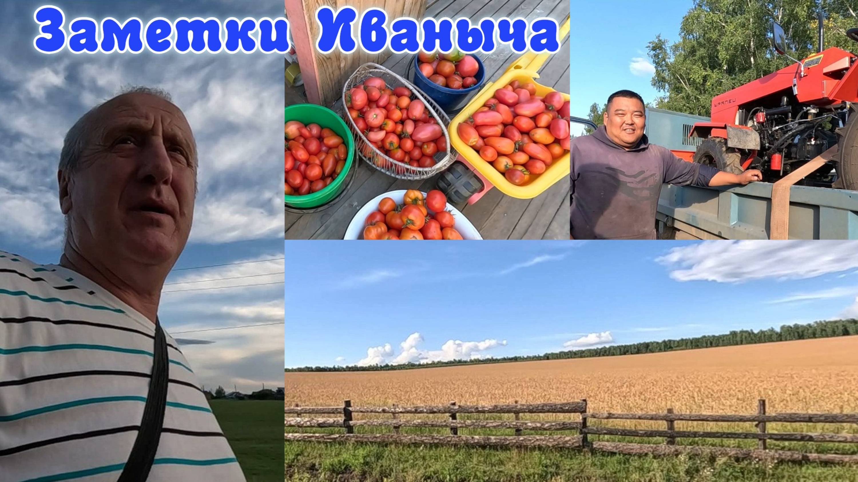 Самая дорогая покупка за всю историю канала, приезд гостей, соленые помидоры