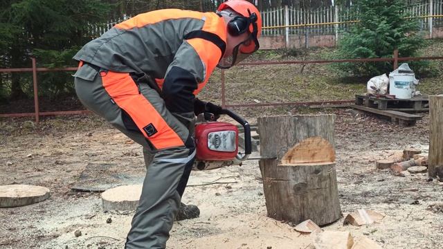 Stihl Contra, пила образца 1959 года. Проба пера. смотреть онлайн