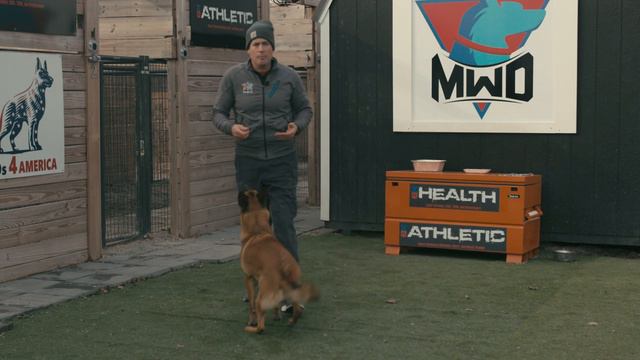 How To Train Your Dog To Come смотреть онлайн