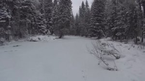 50 дней в тайге Прикамья. Бродяги Севера. Часть 8