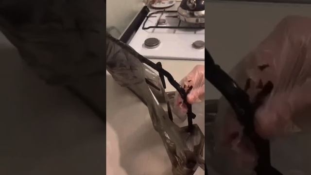 Разъедает всё, оставляя за собой лишь чистоту и поразительный результат. смотреть онлайн