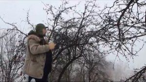 Высоторез против лесницы