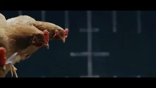 ''Курица'' появилась в России