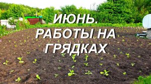 ИЮНЬ. РАБОТЫ НА ГРЯДКАХ.