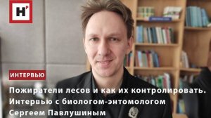 ПОЖИРАТЕЛИ ЛЕСОВ И КАК ИХ КОНТРОЛИРОВАТЬ. ИНТЕРВЬЮ С БИОЛОГОМ-ЭНТОМОЛОГОМ СЕРГЕЕМ ПАВЛУШИНЫМ