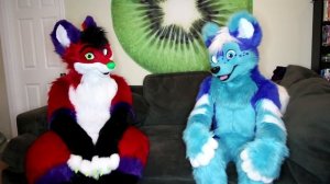 EXCLUSIVE FURRY INTERVIEW with KAISER HUSKY