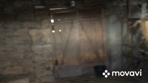 Козы, пополнение стада камори- нубами.