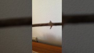 Проращивание корней розы в банане