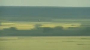 Максим Трошин - Журавли.flv
