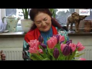 Полынь-трава! Алексей Медведев! Гармонь, гармонь - подруга песни, любимый русский инструмент!