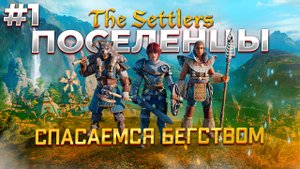 The Settlers: New Allies прохождение #1