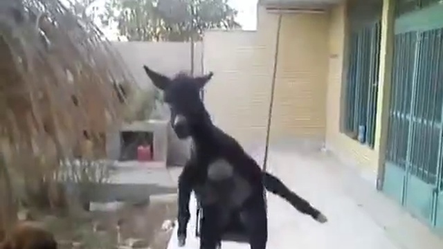 Песенка