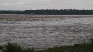 Самые Опасные Рыбы в Мире!Самые Страшные Существа Морей и Океанов